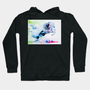 WATERCOLOR HORSE .4 Hoodie